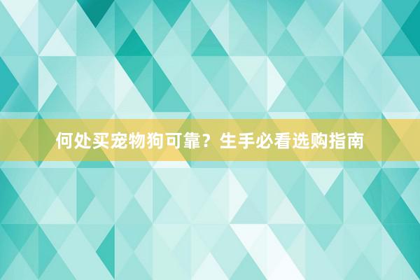 何处买宠物狗可靠？生手必看选购指南