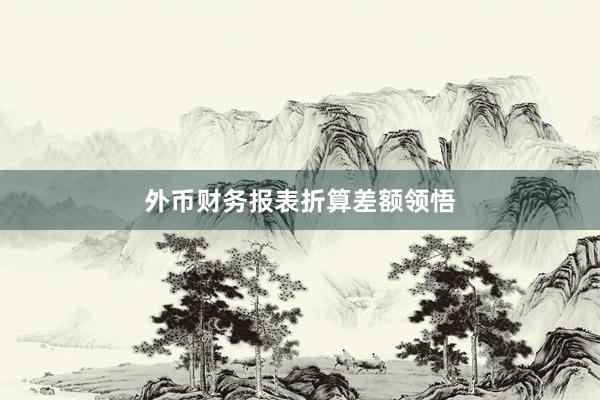 外币财务报表折算差额领悟
